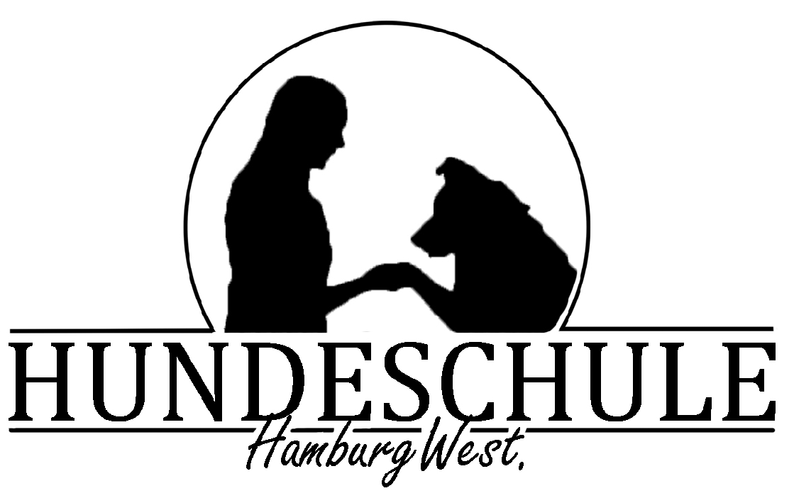 Training mit dem Hund